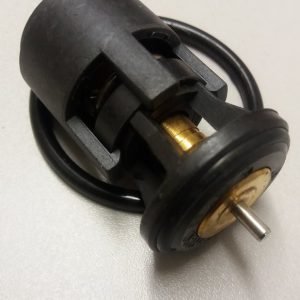 Audi & Volkswagen Thermostat